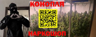 дмт Нарткала