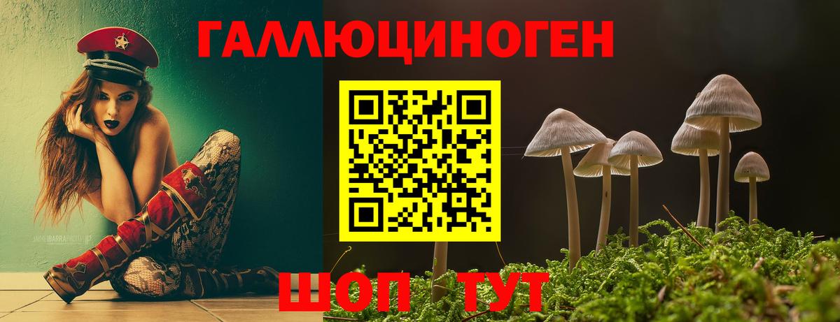 Псилоцибиновые грибы мухоморы  Псилоцибиновые грибы MAGIC MUSHROOMS  Тимашёвск  Вход с VPN 